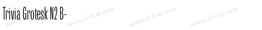 Trivia Grotesk N2 B字体转换 Trivia Grotesk N2 B字体转换